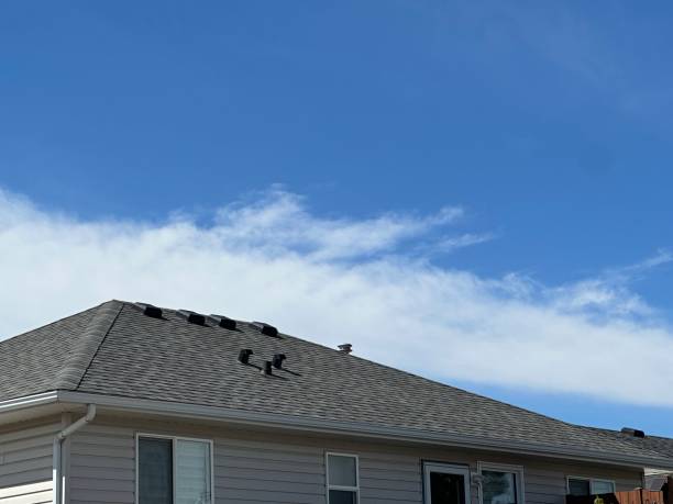 Fast & Reliable Emergency Roof Repairs in Herculaneum, MO